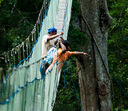 Tourism in Madre de Dios